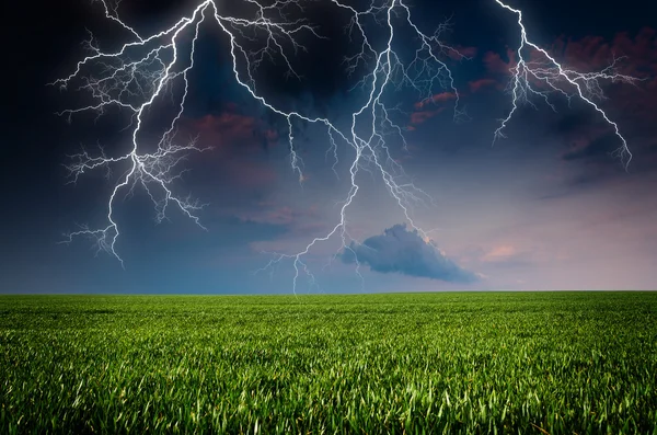 Thunderstorm with lightning in green meadow — Stock Photo, Image