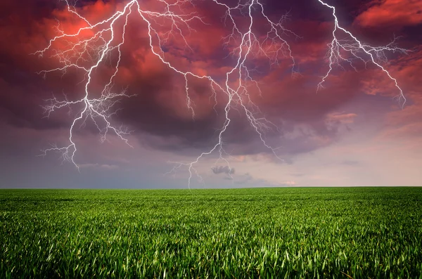 Temporale con fulmini nel prato verde — Foto Stock