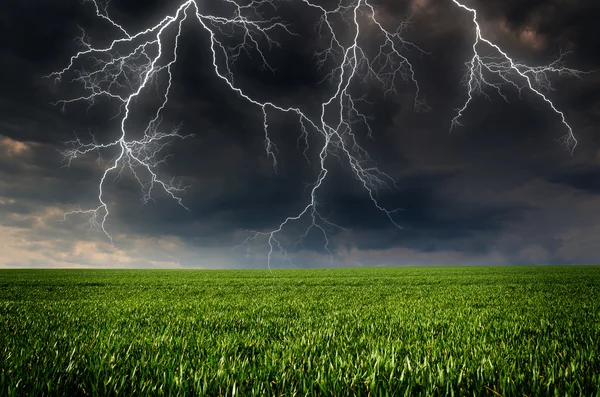 Temporale con fulmini nel prato verde — Foto Stock