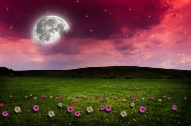 gece çiçek alanı.