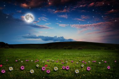 gece çiçek alanı.
