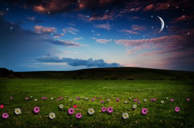 gece çiçek alanı.