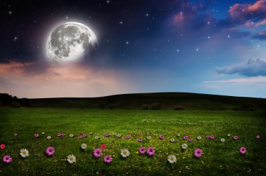 gece çiçek alanı.