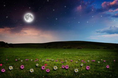 gece çiçek alanı.