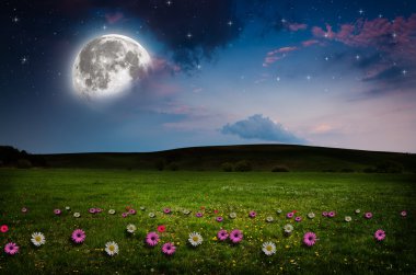 gece çiçek alanı.