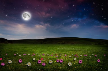 gece çiçek alanı.