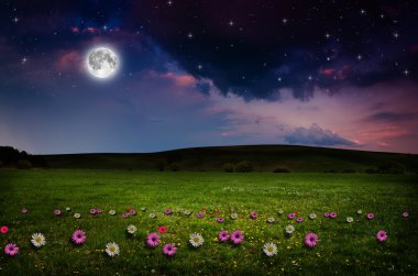 gece çiçek alanı.