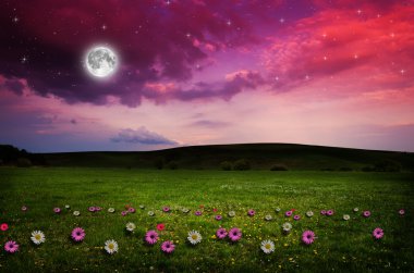 gece çiçek alanı.