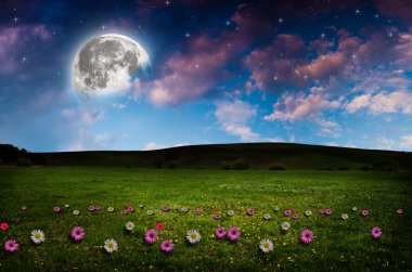 gece çiçek alanı.