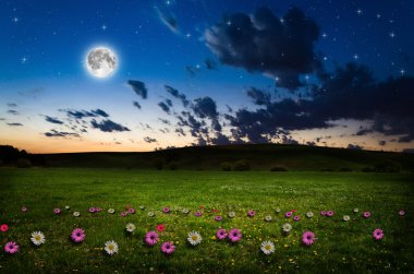 gece çiçek alanı.