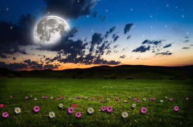 gece çiçek alanı.