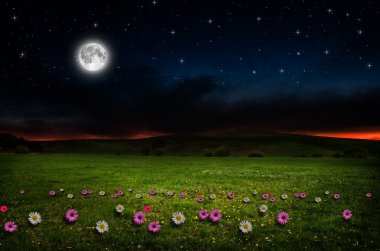 gece çiçek alanı.