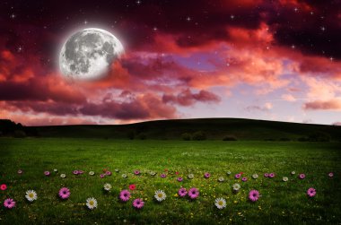 gece çiçek alanı.