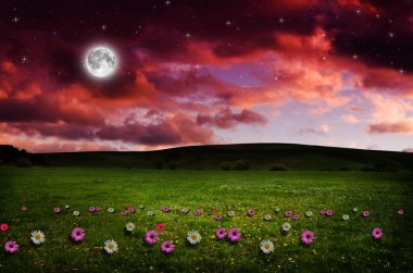gece çiçek alanı.