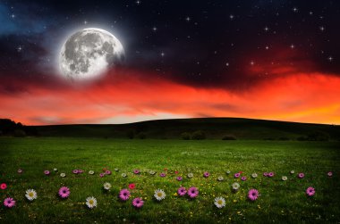 gece çiçek alanı.