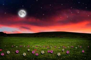 gece çiçek alanı.