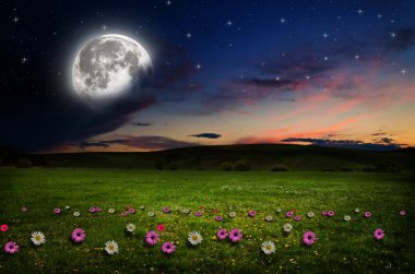 gece çiçek alanı.