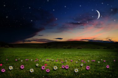 gece çiçek alanı.