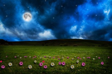 gece çiçek alanı.