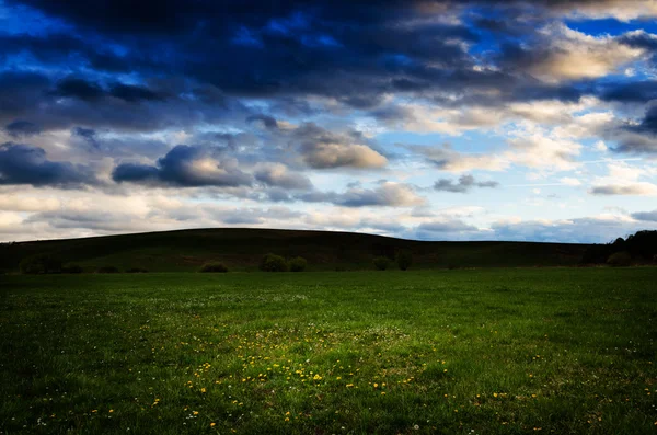 Fondo nocturno. — Foto de Stock