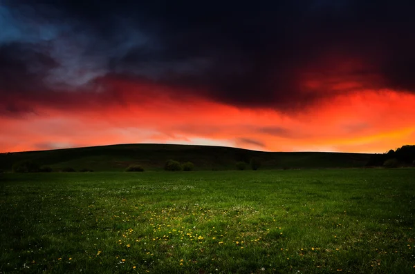 Noční pozadí. — Stock fotografie