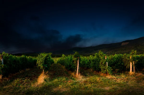 Hintergrund der Nacht — Stockfoto