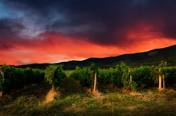 Hintergrund der Nacht — Stockfoto