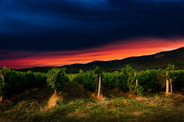 Hintergrund der Nacht — Stockfoto