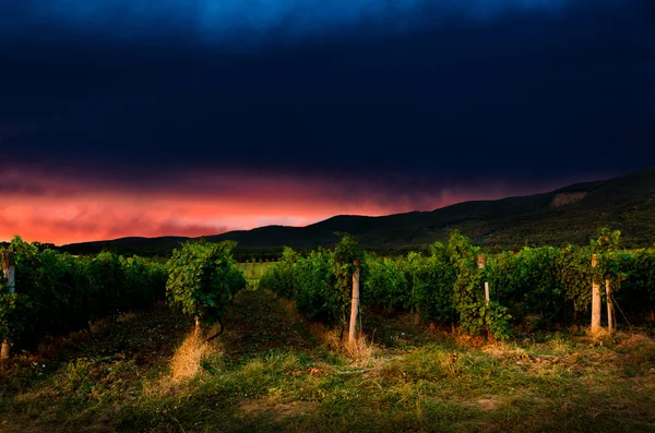 Hintergrund der Nacht — Stockfoto