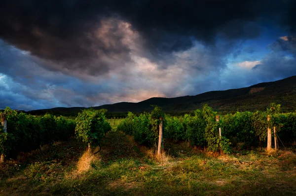 Nattbakgrunn – stockfoto