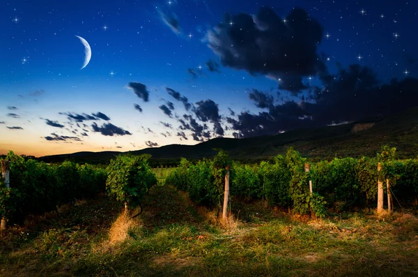 Gece Arkaplanı — Stok fotoğraf