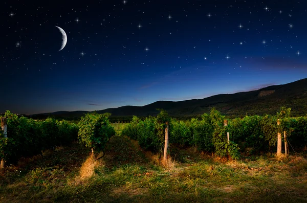 Night background — Stock Photo, Image