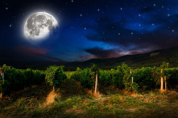 Night background — Stock Photo, Image