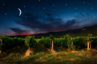 Gece Arkaplanı