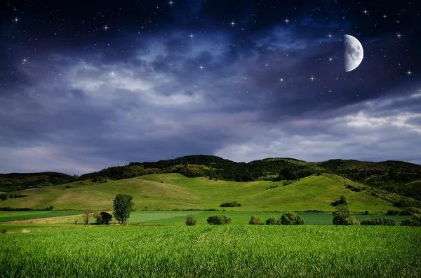 Beautiful Night background — Stock Photo, Image
