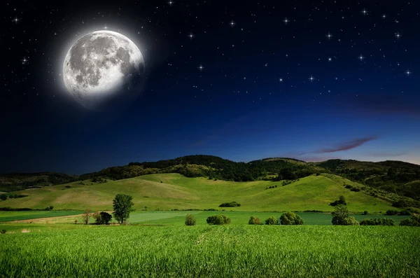 Beautiful Night background — Stock Photo, Image