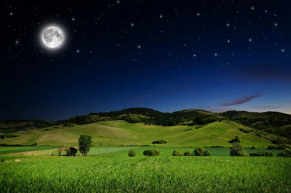 Beautiful Night background — Stock Photo, Image