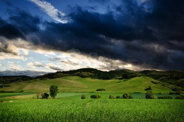 Nattbakgrund — Stockfoto