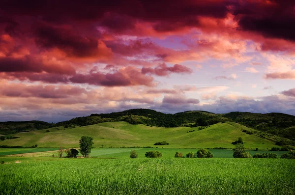 Nacht Landschaft Hintergrund — Stockfoto