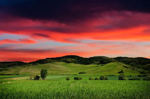 Paisagem noturna fundo — Fotografia de Stock