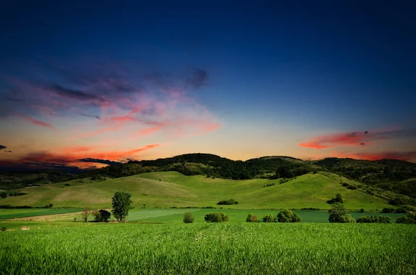 Nacht Landschaft Hintergrund — Stockfoto