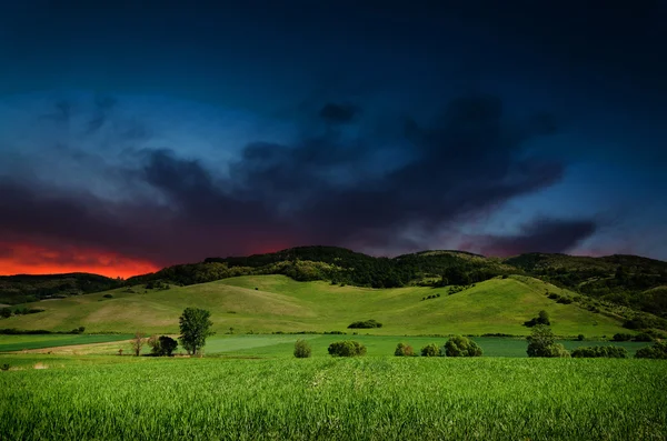 Natten landskap bakgrund — Stockfoto