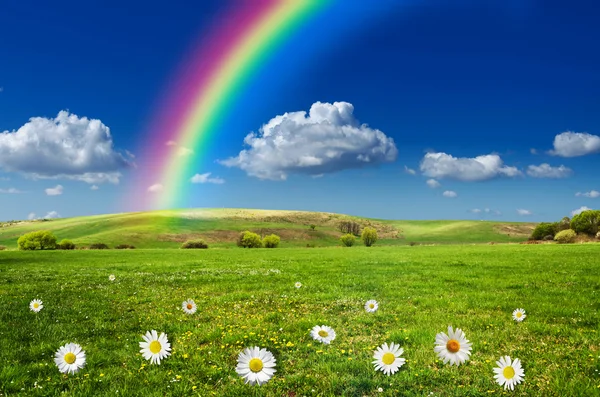 Sonniger Tag mit Regenbogenhintergrund — Stockfoto