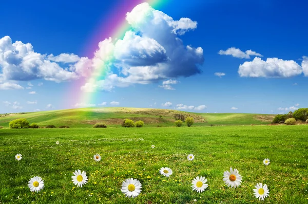 Sonniger Tag mit Regenbogenhintergrund — Stockfoto