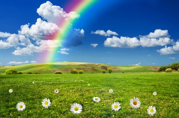 Sonniger Tag mit Regenbogenhintergrund — Stockfoto