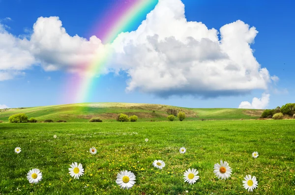 Sonniger Tag mit Regenbogenhintergrund — Stockfoto