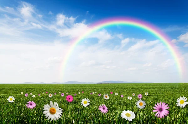 Sonniger Tag mit Regenbogenhintergrund — Stockfoto