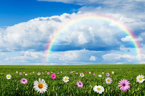 Sonniger Tag mit Regenbogenhintergrund — Stockfoto