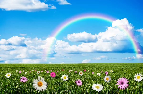 Sonniger Tag mit Regenbogenhintergrund — Stockfoto