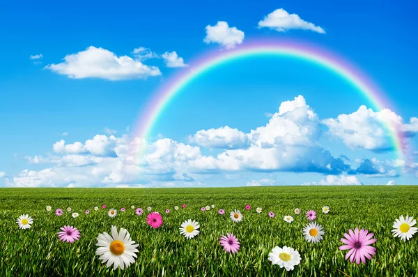 Sunny day with rainbow background — Stock Photo, Image